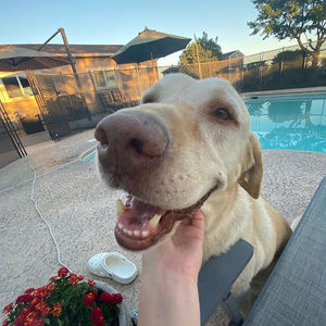 Meet your Posher, Macy